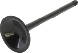 Nitrided Valve