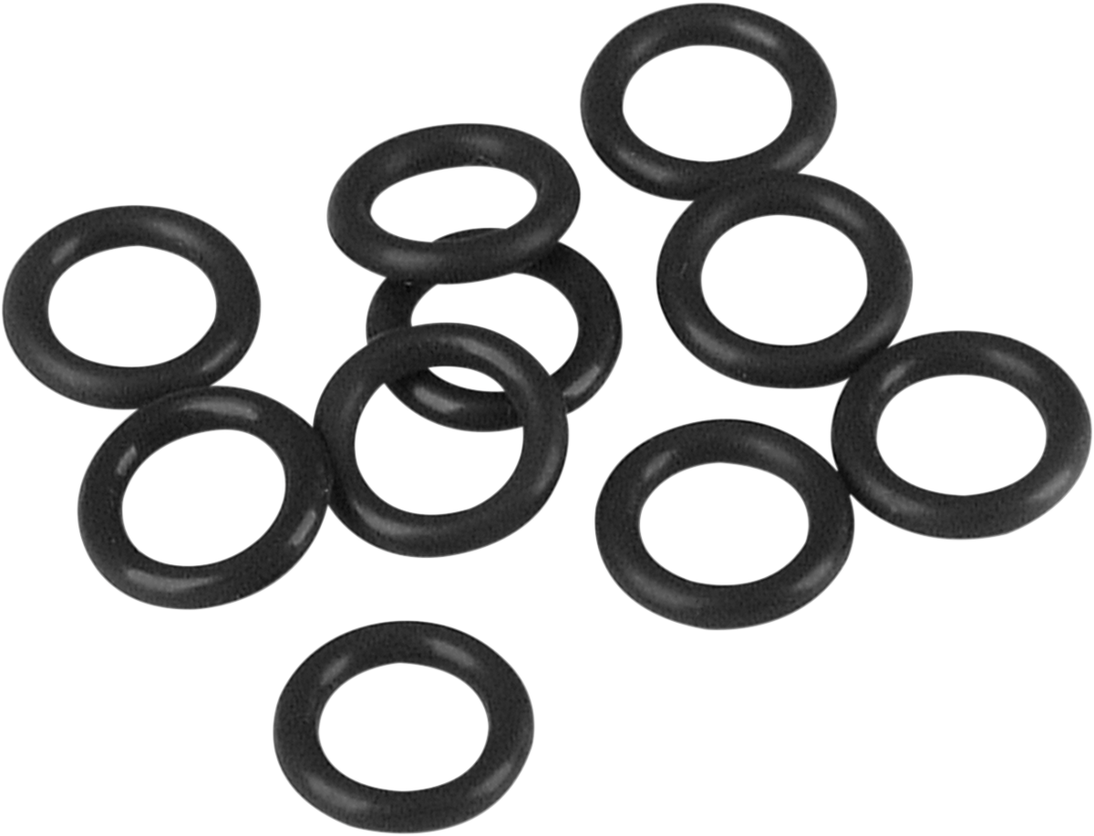 Cam Support Plate Plug O-Ring