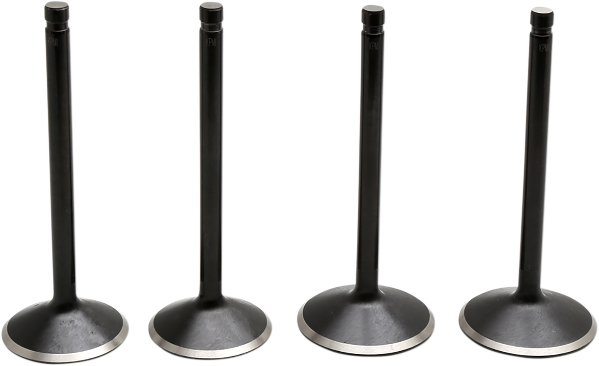 Black Diamond™ Engine Valve Kit
