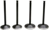 Black Diamond™ Engine Valve Kit
