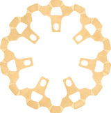 Front Brake Rotor