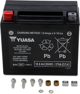 AGM Maintenance-Free Battery
