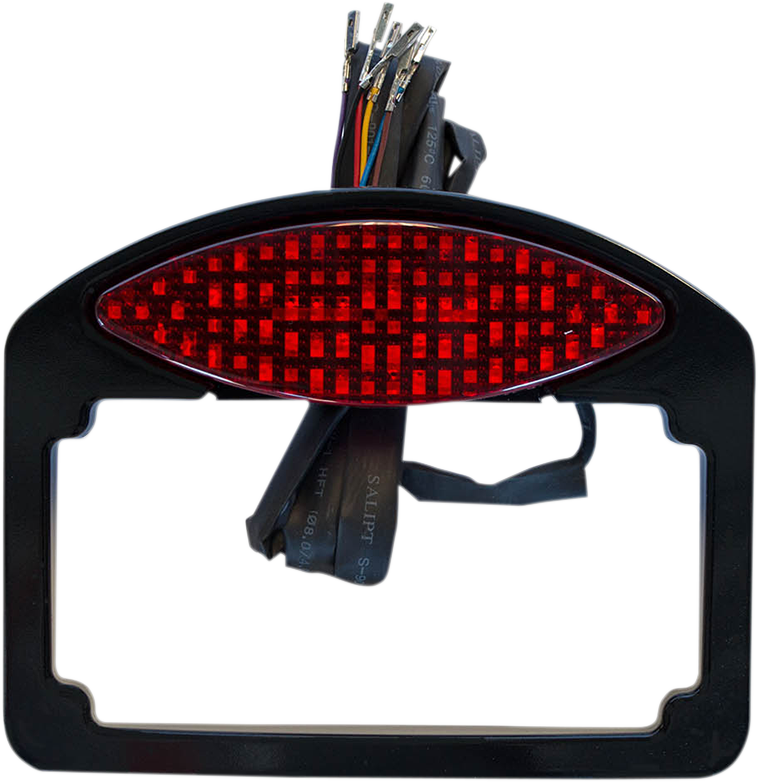 LED Taillight/Turn Signal/License Plate Kit