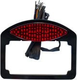 LED Taillight/Turn Signal/License Plate Kit