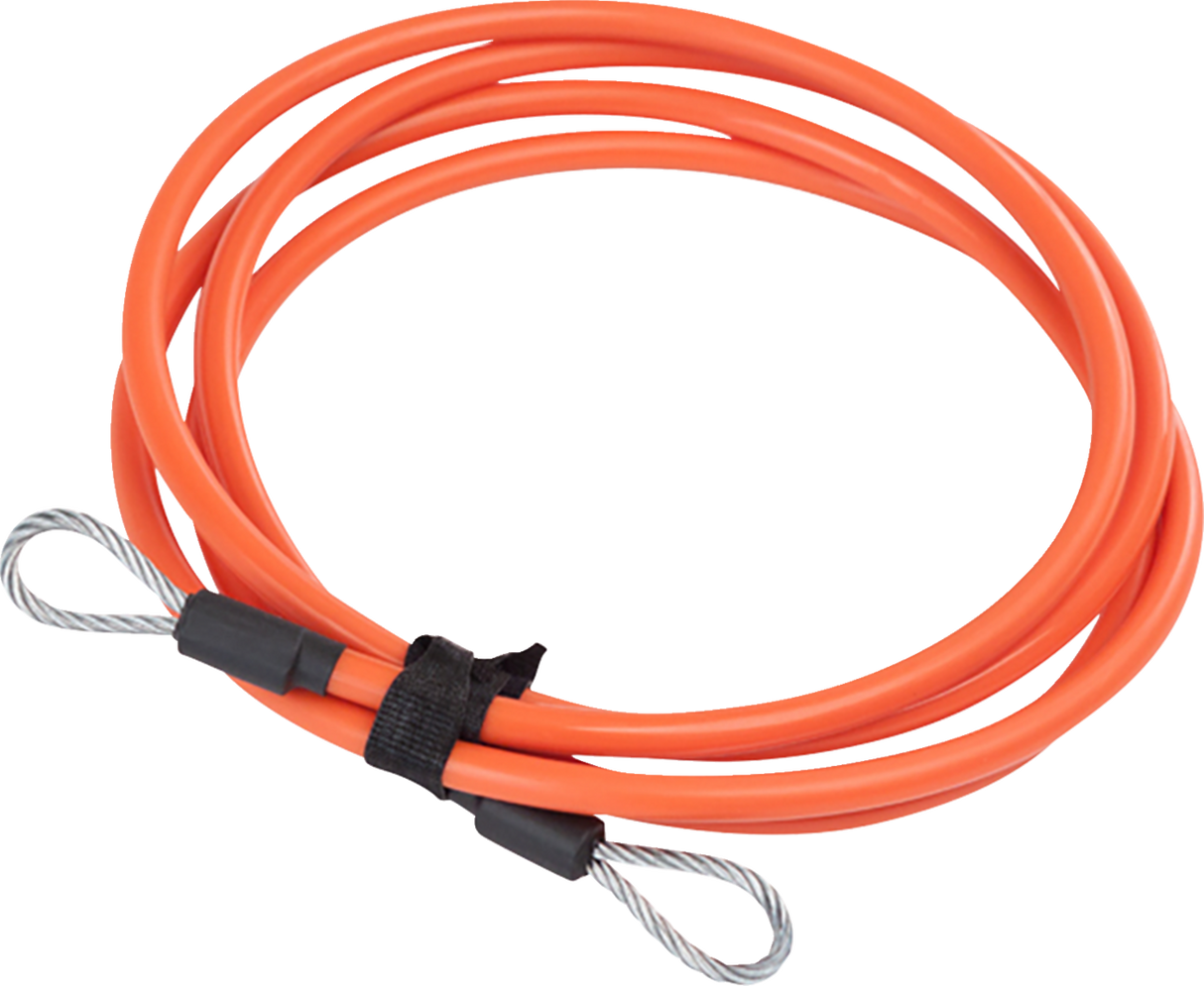 QuickLoop Security Cable