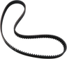 Rear Drive Belt