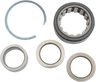 Left Side Sprocket Shaft Bearing Kit