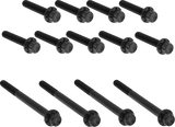 Outer Primary Cover Titanium 12-Point Bolt Kit