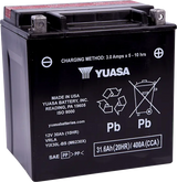 AGM Maintenance-Free Battery