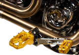Aggressor Foot Pegs