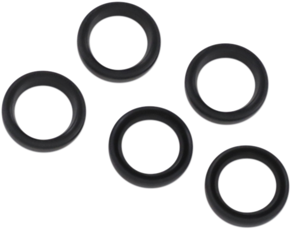 Oil Pump O-Ring
