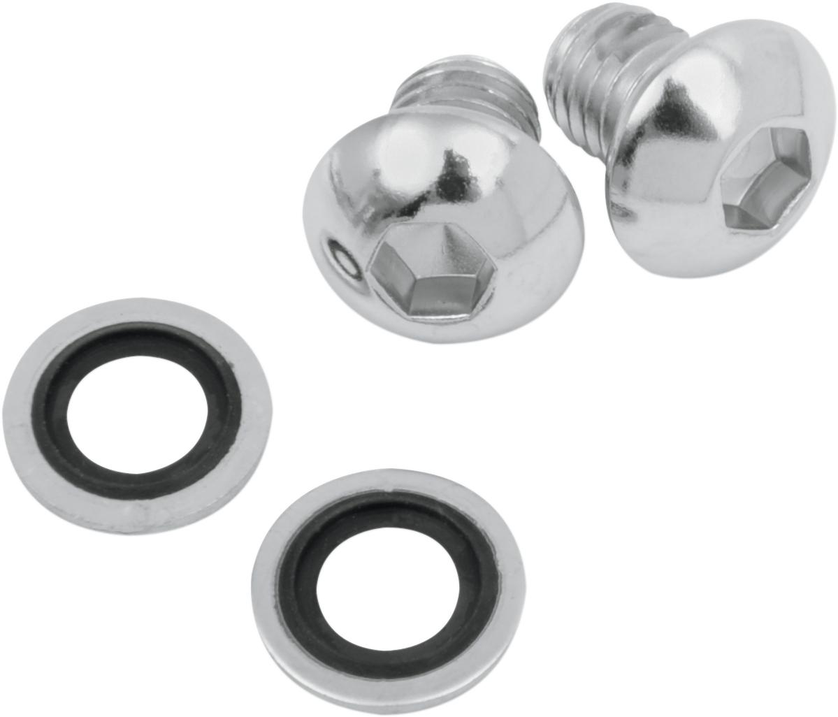 Fork Drain Screw Kit