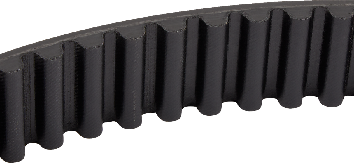 Rear Drive Belt