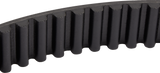 Rear Drive Belt
