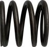 Fork Spring