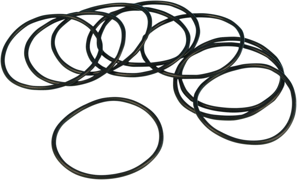 Oil Pump O-Ring