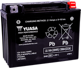 High Performance AGM Maintenance-Free Battery