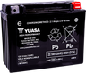 High Performance AGM Maintenance-Free Battery