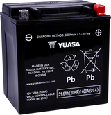 AGM Maintenance-Free Battery