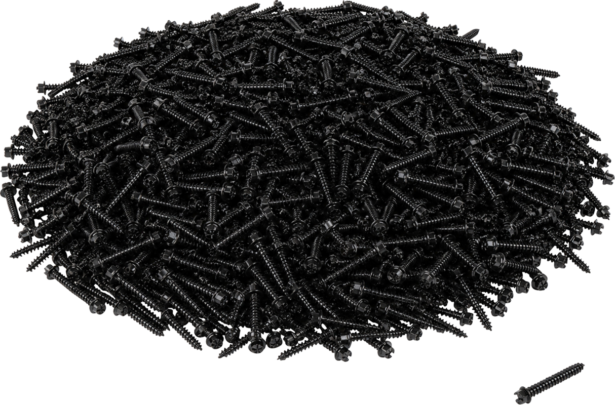 AMA Race Legal Traction Screws