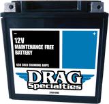 AGM Maintenance-Free Battery