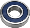 Main Shaft Bearing