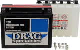 AGM Maintenance-Free Battery