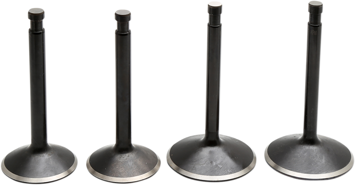 Black Diamond™ Engine Valve Kit