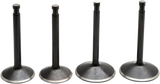 Black Diamond™ Engine Valve Kit