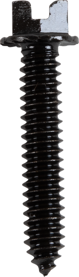 AMA Race Legal Traction Screws
