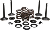 Engine Valve Kit
