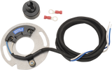 Electronic Ignition System