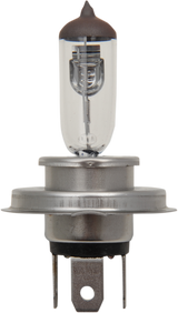 Halogen Bulb