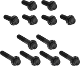 Rocker Box 12-Point Titanium Bolt Kit