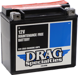 AGM Maintenance-Free Battery