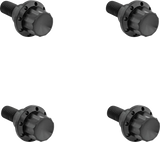 Windshield Titanium 12-Point Bolt Kit