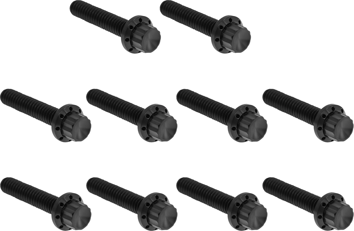 Cam Cover/Point Cover Titanium 12-Point Bolt Kit