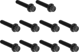 Cam Cover/Point Cover Titanium 12-Point Bolt Kit