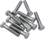 Replacement Hex-Head Bolts