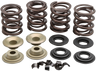 Racing Valve Spring Kit