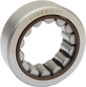 Pinion Shaft Bearing