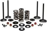 Engine Valve Kit