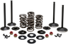 Engine Valve Kit
