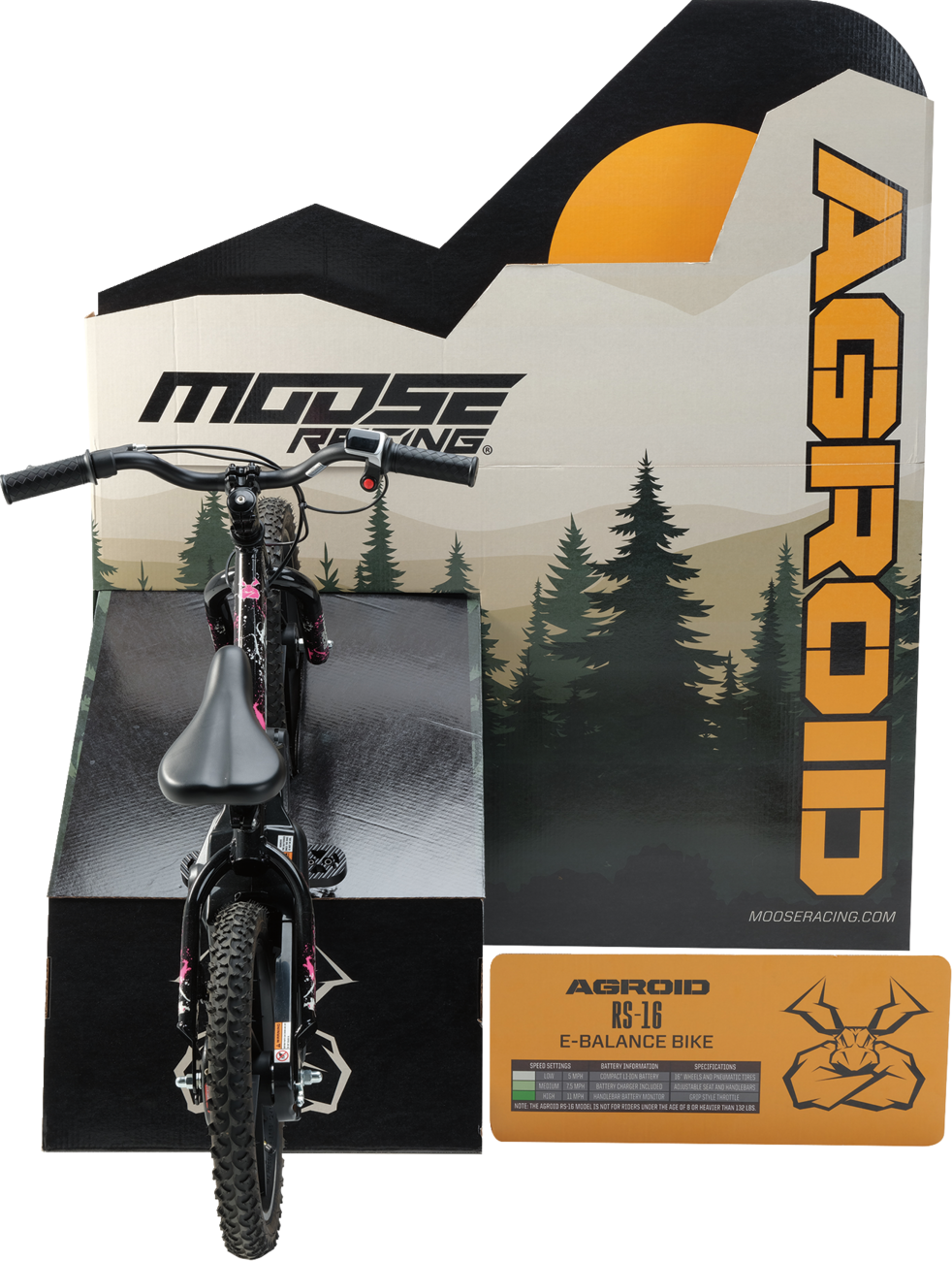 Agroid RS-16 Balance E-Bike Display