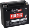 SLA MAX Factory- Activated AGM Maintenance-Free Battery