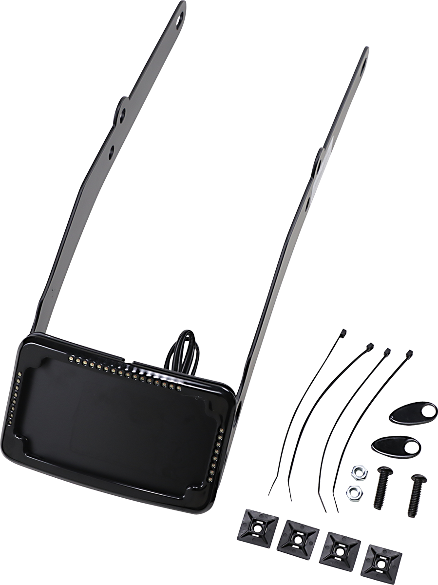 Curved License Mount with Frame