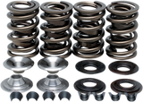 Racing Valve Spring Kit
