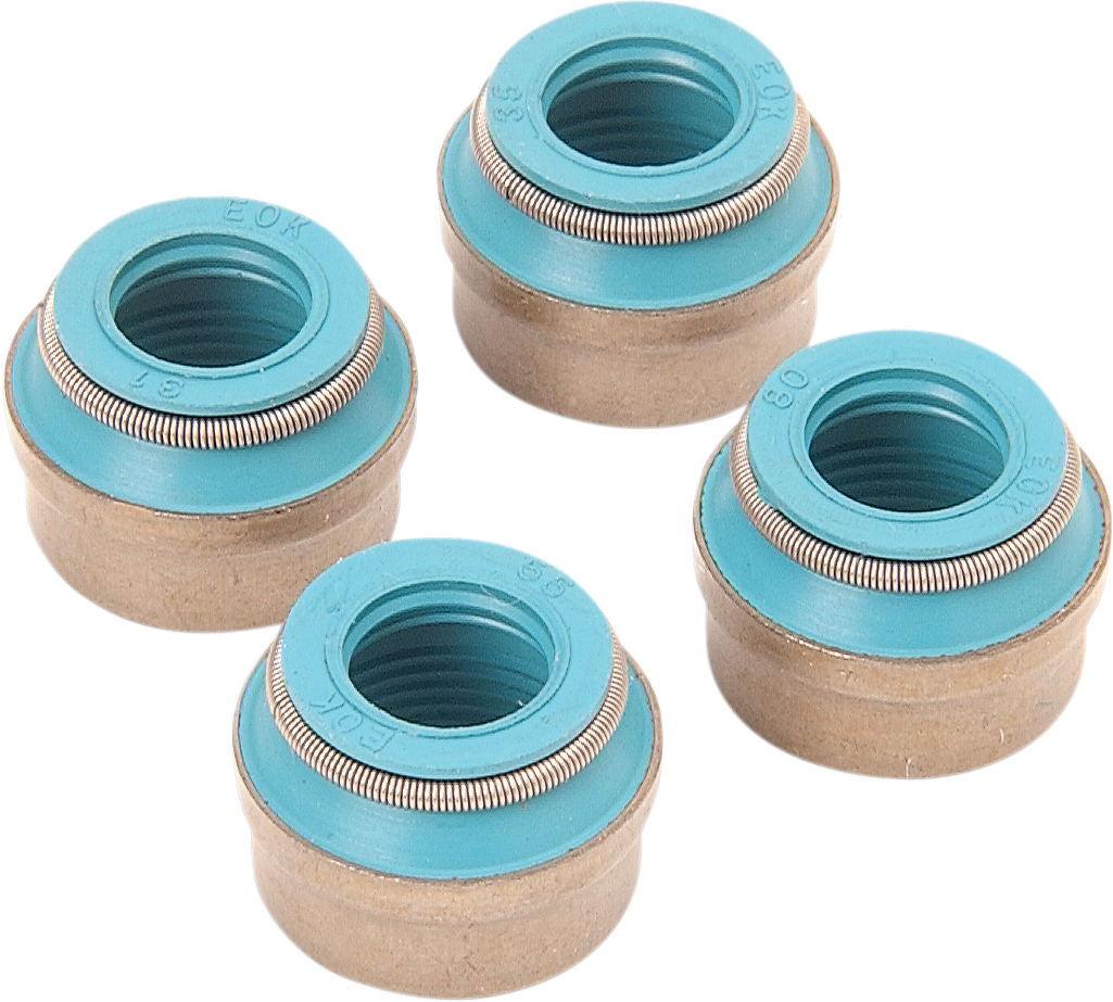 Valve Guide Seals