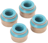 Valve Guide Seals