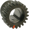 Pinion Gear